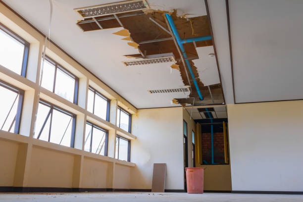 Best Ceiling water damage repair  in Livonia, LA