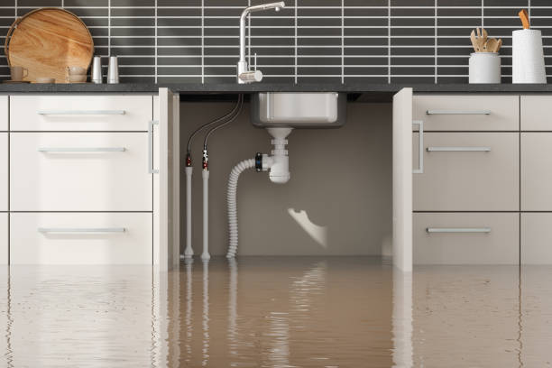 Best Water damage restoration near me  in Livonia, LA