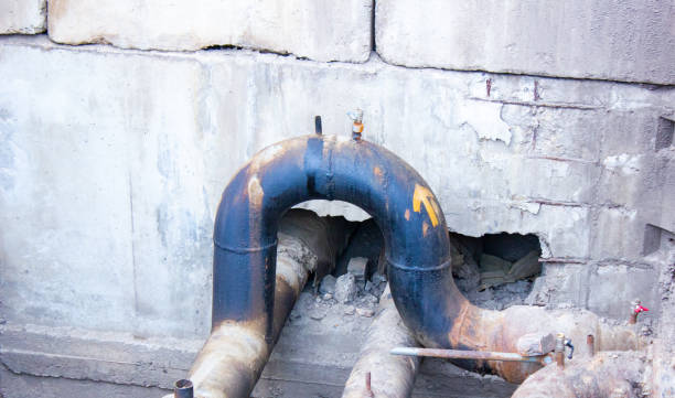 Best Water damage cleanup near me  in Livonia, LA